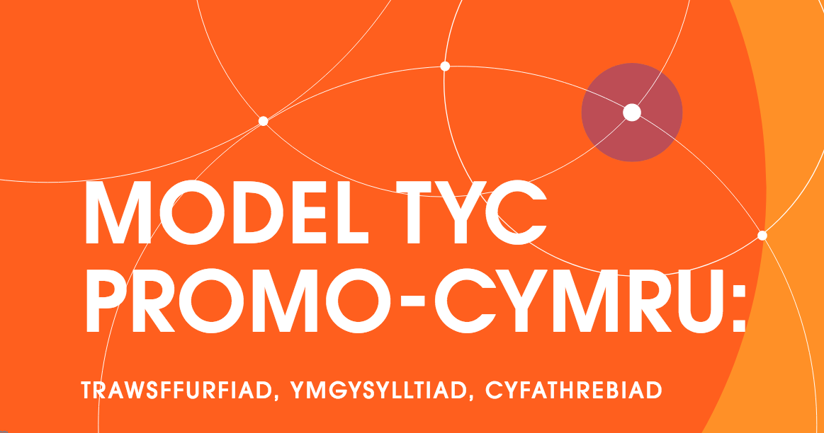 Model TYC ar gyfer erthygl gwaith ieuenctid digidol