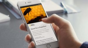 FB Instant Articles examples for Instant Articles and AMP article