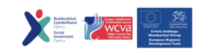 Social Growth Wales logo