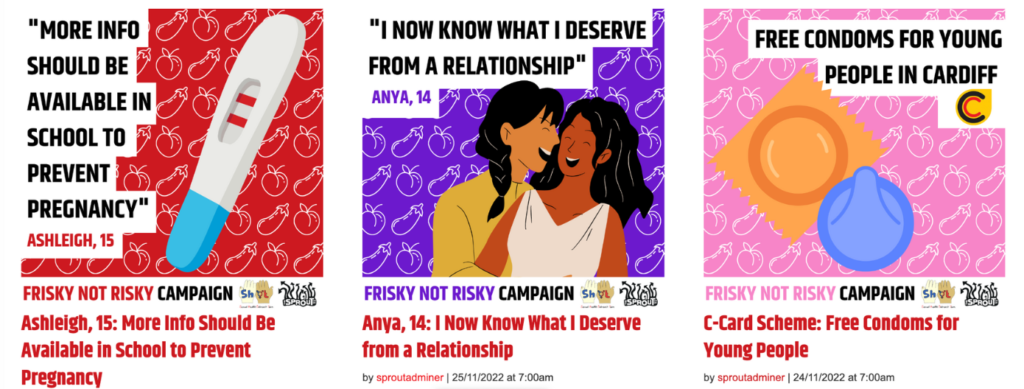 Screenshot of some Firsky Not Risky campaign blogs