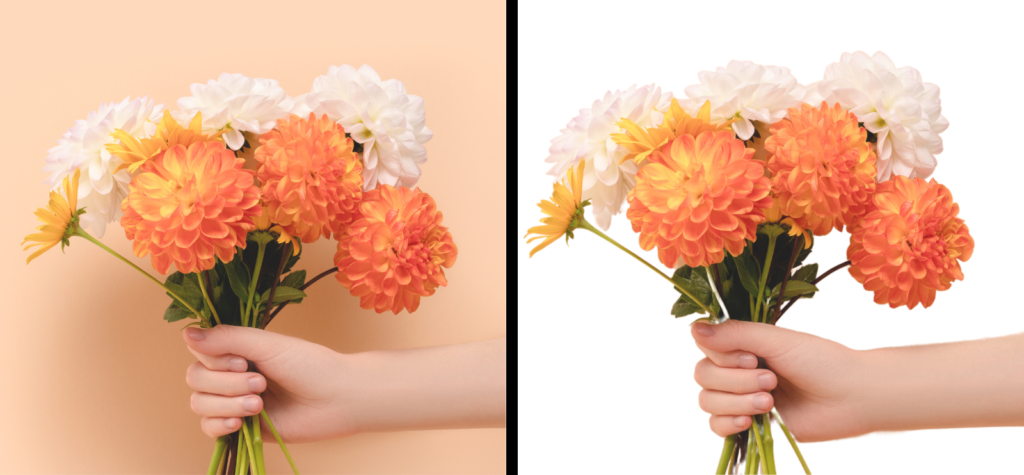 Side by side images to demonstrate Background Remover feature on Canva. Left image - hand holding a bunch of orange and white flowers with a peach coloured background. Right image - hand holding a bunch of orange and white flowers with a white background.