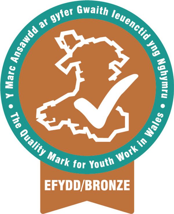 Achievement Bronze Quality Mark for Youth Work in Wales ProMo Cymru