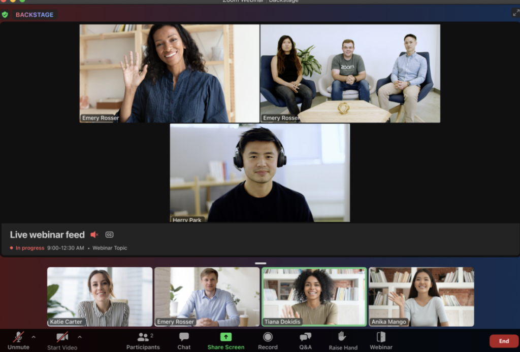 This is a screenshot of a Zoom video call where the webinar feature is active 